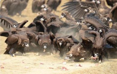 [소프트텔링ESG]소리 없는 하늘의 비명...겨울마다 반복되는 굶주림 막는 사람들