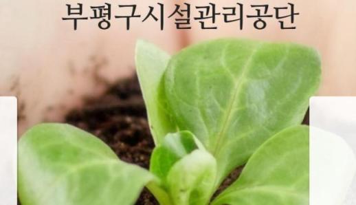 [로컬ZOOM] 인천 부평구시설관리공단, 안전한 공공체육시설 운영체계 인정