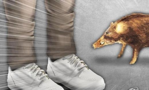 마약합수단 내홍 격화...백해룡 임은정, 현장 수사 기초도 몰라 비판