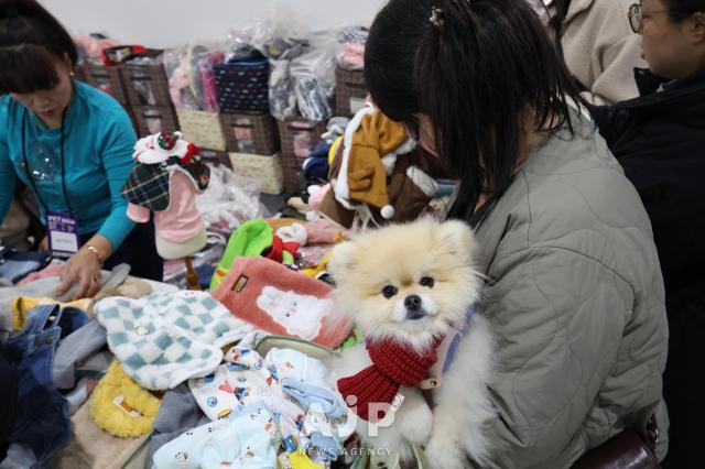12일 서울 강남구 대치동 세텍에서 열린 크리스마스 서울 펫쇼에서 관람객들이 반려견과 함께 용품을 살펴보고 있다 AJP Yoo Na-hyun
