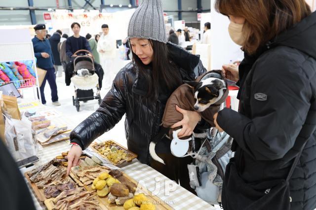 12일 서울 강남구 대치동 세텍에서 열린 크리스마스 서울 펫쇼에서 관람객들이 반려동물용품을 살펴보고 있다 AJP Yoo Na-hyun