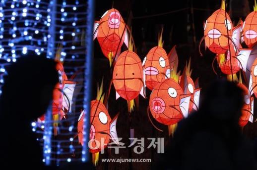 [포토] 잉어킹으로 변신한 메타몽 잉어킹