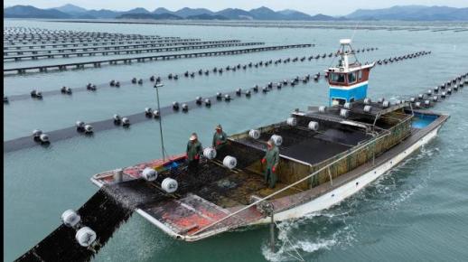 전남도, 2030년까지 김 수출 7억 달러 목표