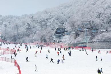 驰骋雪场 悦享冬日