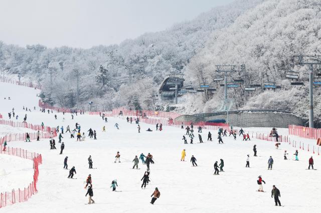 PHOTOS: Snowfall delights winter sports enthusiasts