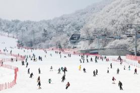 PHOTOS: Snowfall delights winter sports enthusiasts