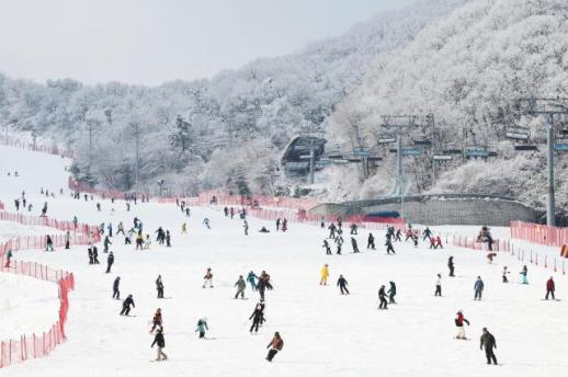 PHOTOS: Snowfall delights winter sports enthusiasts