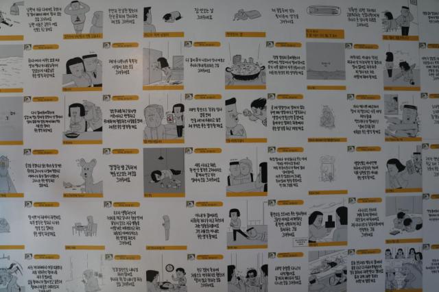 사진 김호이 기자