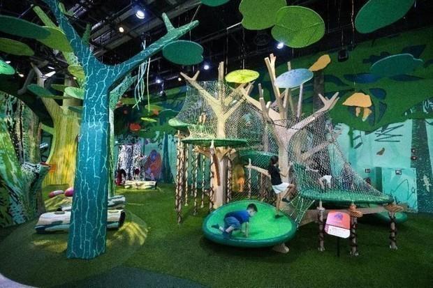 만다이 와일드라이프 그룹은 자연을 테마로 한 싱가포르 최대 규모의 대형 실내 놀이시설 ‘큐리오시티 코브’를 개장했다 사진만다이 와일드라이프 그룹 제공