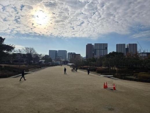 금양, 젬백스…매수 부추기는 유튜버에 개미들 혼란