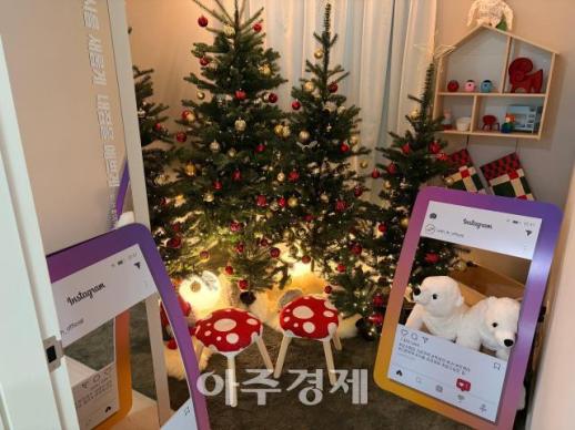 금양, 젬백스…매수 부추기는 유튜버에 개미들 혼란