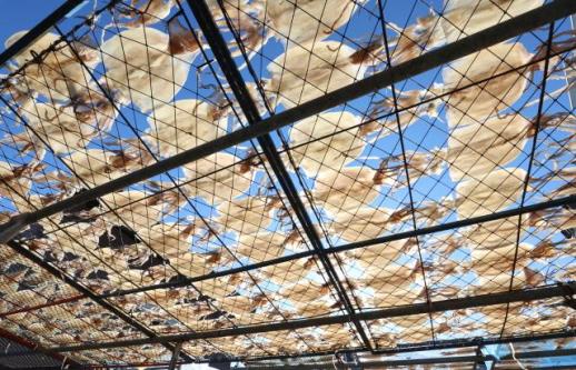 [내일 날씨] 목요일 전국 대체로 맑음…동해안 새벽 약한 비