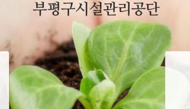 [로컬ZOOM] 인천부평구시설관리공단, 적극행정 성과 확산