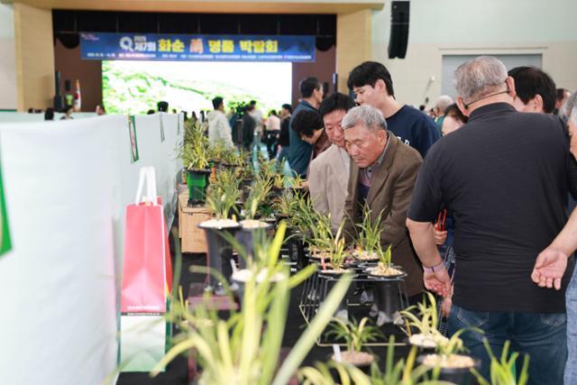 화순난 명품박람회 모습 화순난 판매전이 오는 20일 능주면에서 열린다 사진화순군 