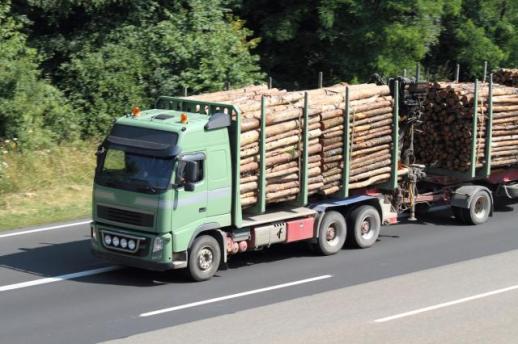 [NNA] 베트남, 목재 수출 250억 달러 목표