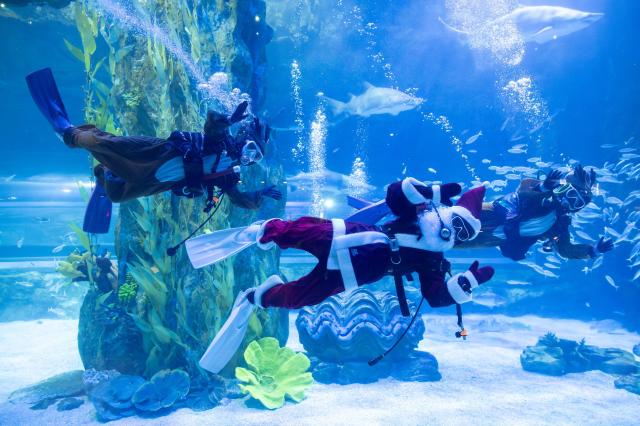 롯데월드가 크리스마스 맞이 특별 콘텐츠를 다양하게 선보인다 사진롯데월드