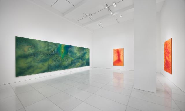 이은실 개인전 파고 전시 전경 사진아라리오갤러리