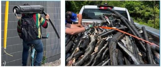 美, 자진출국 불체자에 450만원 지급...강제추방 대신 현금 유인
