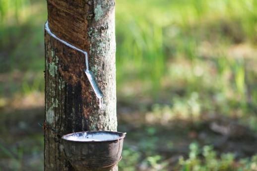 [NNA] 베트남 고무 산업, 올해 수출 3% 증가 전망