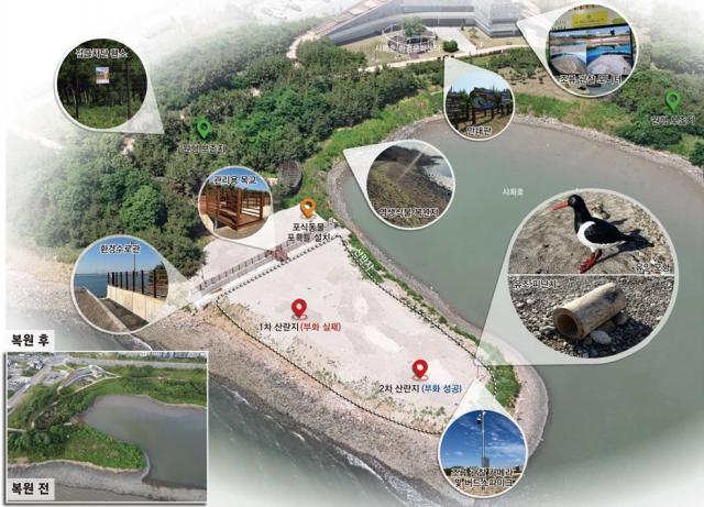 철새도래지 서식처 조성사업_철새서식지 사진시흥시