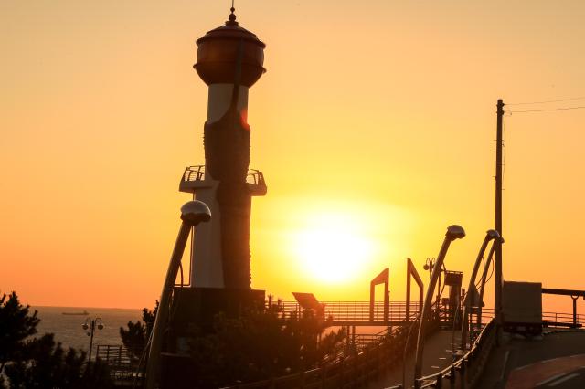 영덕읍 창포 해맞이공원 일출 사진영덕군