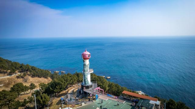 영덕 해맞이공원 사진영덕군