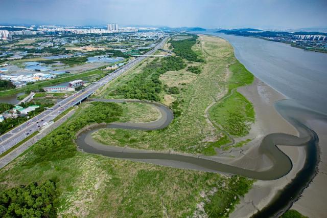 람사르 고양장항습지 전경 사진고양시