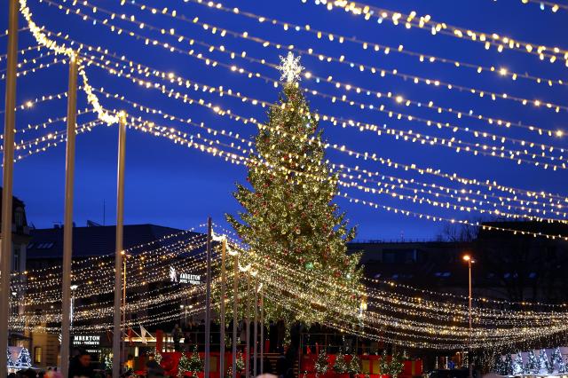 A Christmas tree celebration was held in Vilnius Lithuania on Dec 13