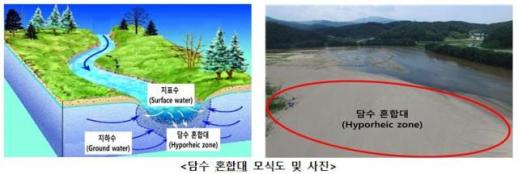  낙동강 담수 혼합대의 생물다양성·환경 특성 첫 종합 정리