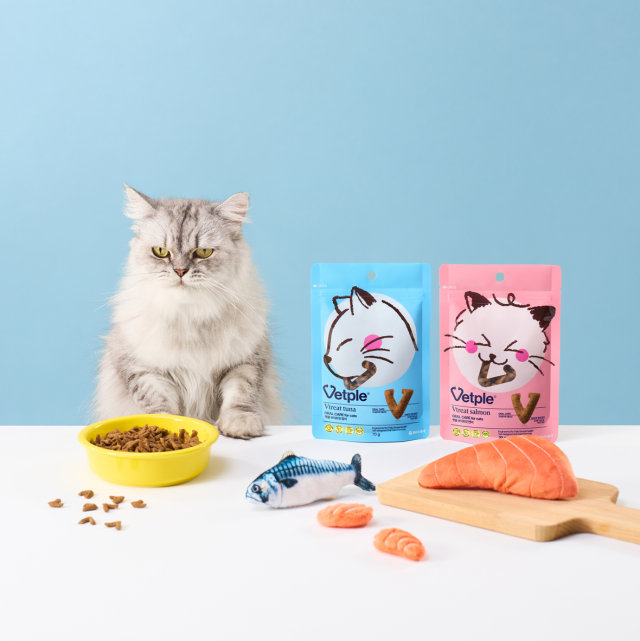 동아제약 반려묘 구강관리 스낵 벳플 브이트릿 사진동아제약