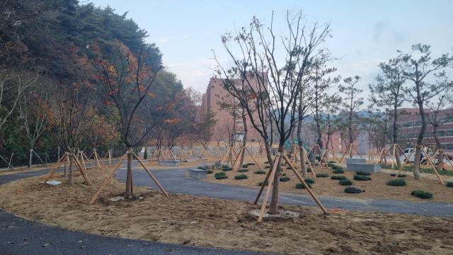 전북대 남원글로컬캠퍼스 도시숲사진남원시