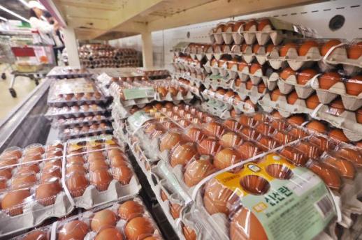 8% 오른 계란값...AI 확산으로 다시 등장한 수급 불안