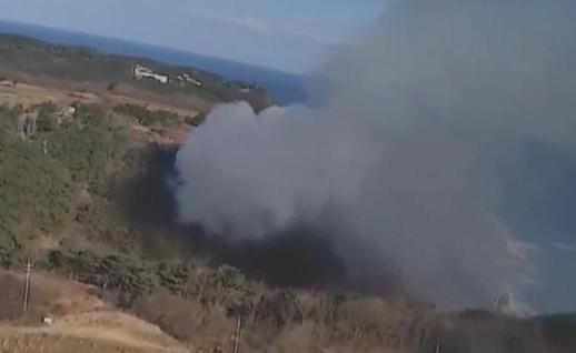 강릉 강동면 야산서 산불…주불 50여분 만에 진화