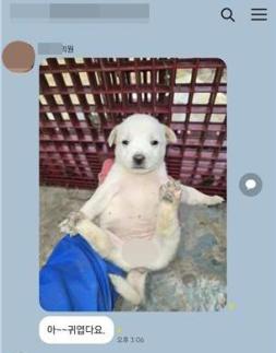 성희롱 사진 올린 나주시의원 중징계