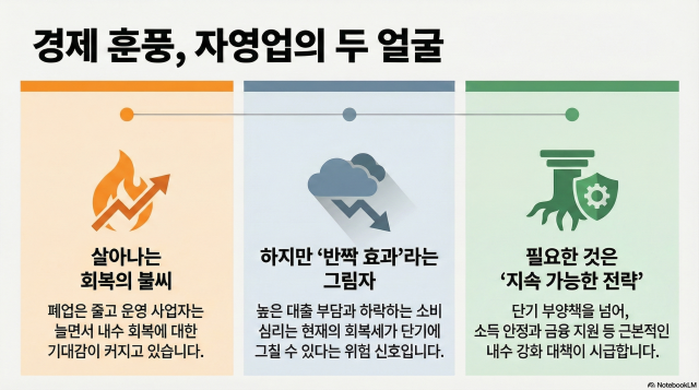 사진Notebook LM 인포그래픽