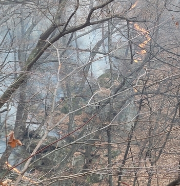 강릉 연곡면 신왕리 산불 2시간 30분 만에 꺼져…산림 약 2㏊ 소실
