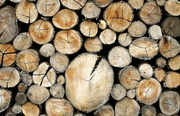 기사 내용과 관련 없는 사진 사진연합뉴스