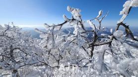 TRAVEL: Snowflower hiking to welcome the new year