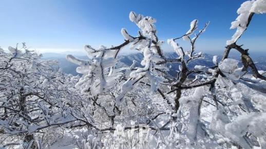 TRAVEL: Snowflower hiking to welcome the new year