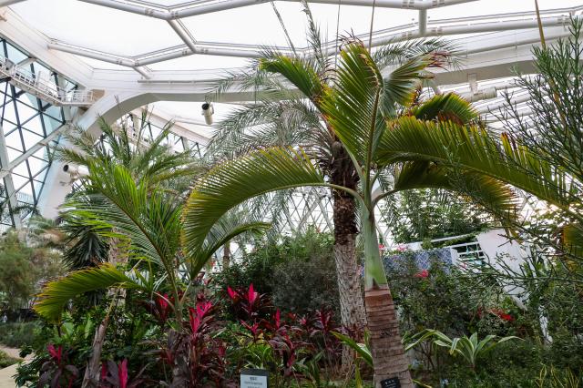 Seoul Botanic Park in Gangseo District Seoul AJP Yoo Na-hyun