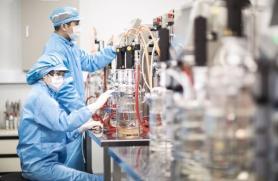 [Tổng kết 2025] ⑥ Dược phẩm-Sinh học: Kỷ lục xuất khẩu và bước ngoặt công nghệ AI của Hàn Quốc