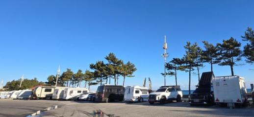 游客在江陵海滨静待新年曙光