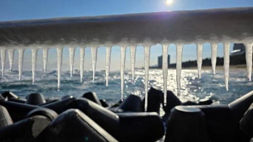 저수온 위기경보 주의 발령…서·남해 연안 수온 하강 우려