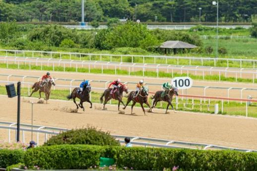 렛츠런파크 부산경남, 1월 경마 일정 확정