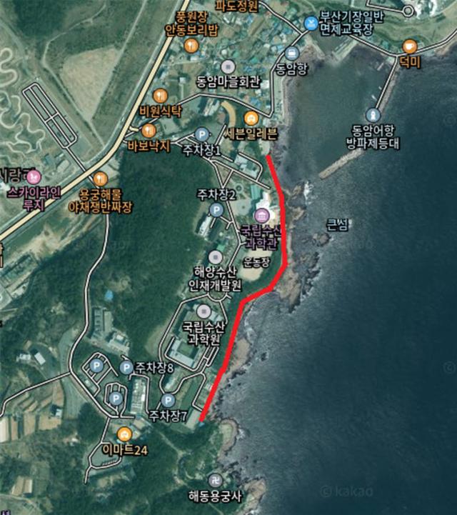 기장군, 새해 맞아 안전·농업·체육 현안 잇따라