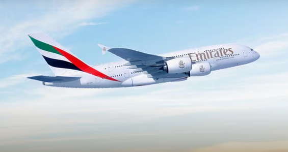 사진아랍에미레이트 홈페이지 캡처