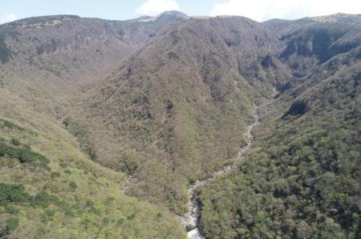 한라산 어리목계곡 화산암층과 용천수 천연기념물 된다