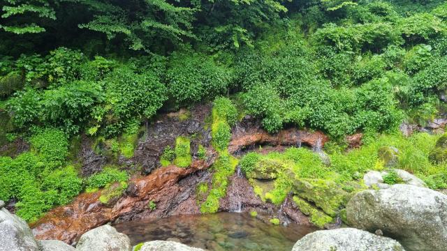 화산암층과 용천수 근경 사진국가유산청