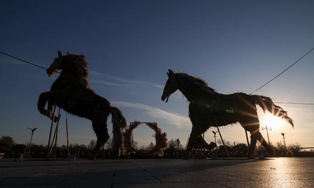 To mark the Year of the Fire Horse in 2026 two horse-shaped sculptures crafted from silver grass stand at World Cup Park in Mapo District western Seoul AJP Yoo Na-hyun