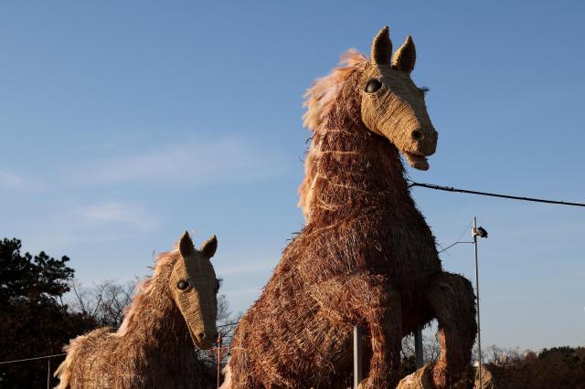 To mark the Year of the Fire Horse in 2026 two horse-shaped sculptures crafted from silver grass stand at World Cup Park in Mapo District western Seoul AJP Yoo Na-hyun